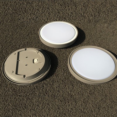 LED Ceiling Light CL360picture2