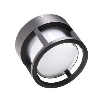 LED Wall Light WL1040picture5