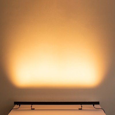 LED Wall Washer WW170picture2