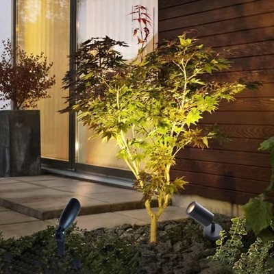 LED Spike Light SPK170picture4