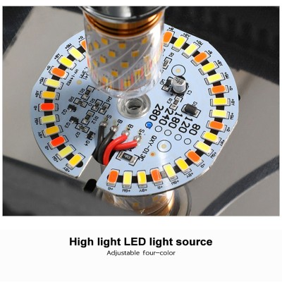 LED Pillar Light PLR450picture5