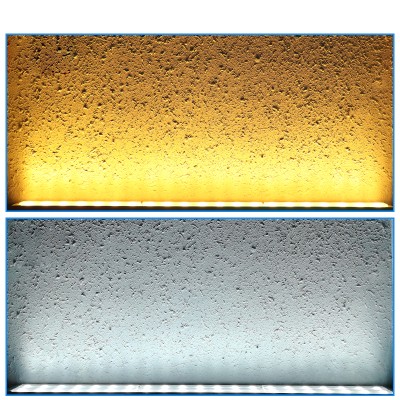 LED Wall Washer WW590picture3
