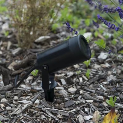 LED Spike Light SPK1090picture2