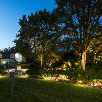 LED Spike Light SPK1150picture3