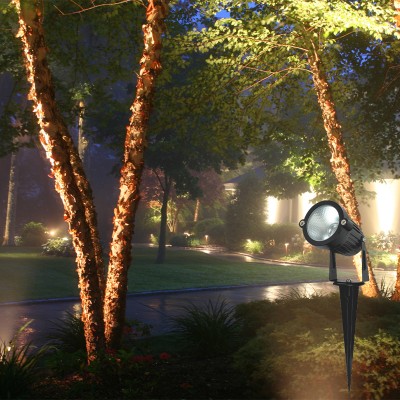 LED Spike Light SPK1150picture5