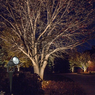 LED Spike Light SPK1150picture6