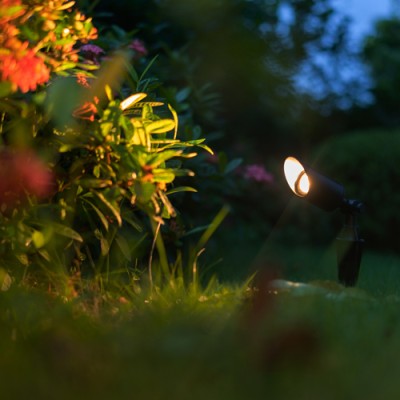 LED Spike Light SPK1470picture4