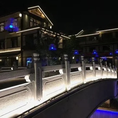 LED Wall Washer WW460picture2