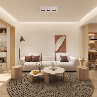 LED Downlight DL940picture2
