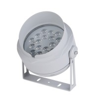 LED Flood Light FL1310