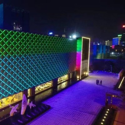 LED Digital Tube Light DGT300picture5