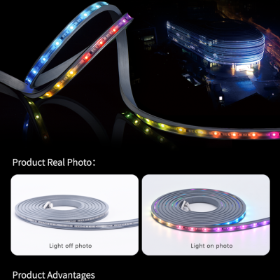 LED Neon Light NEL1300picture4