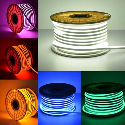 LED Neon Light NEL300picture3
