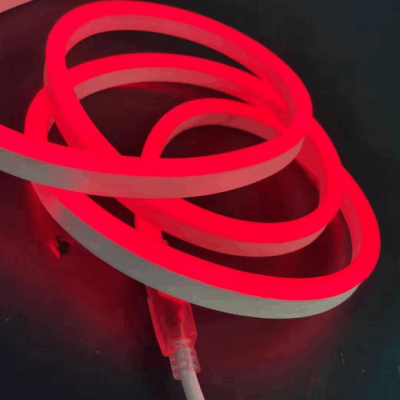 LED Neon Light NEL300picture4