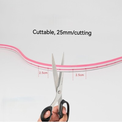 LED Neon Light NEL2800picture4