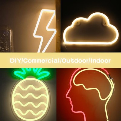 LED Neon Light NEL1600picture2