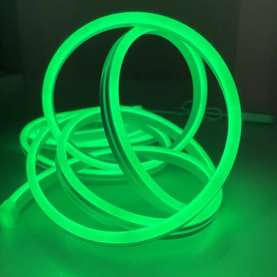 LED Neon Light NEL1600picture3