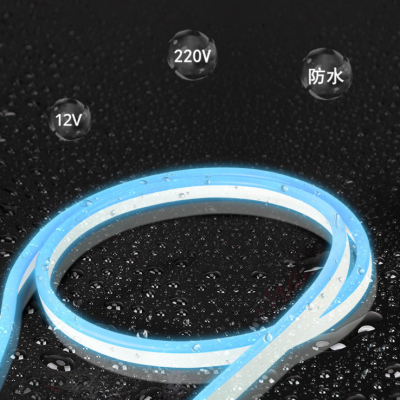 LED Neon Light NEL500picture3