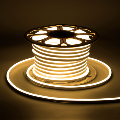 LED Neon Light NEL500picture5