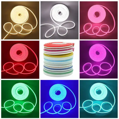LED Neon Light NEL600picture5