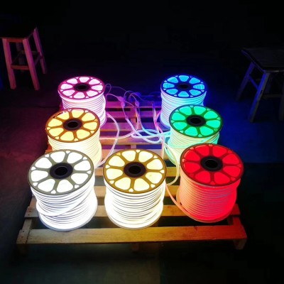LED Neon Light NEL700picture4