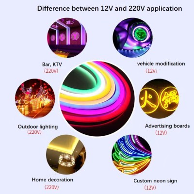 LED Neon Light NEL700picture5