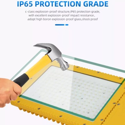 LED Explosion Proof Light EXP900picture3