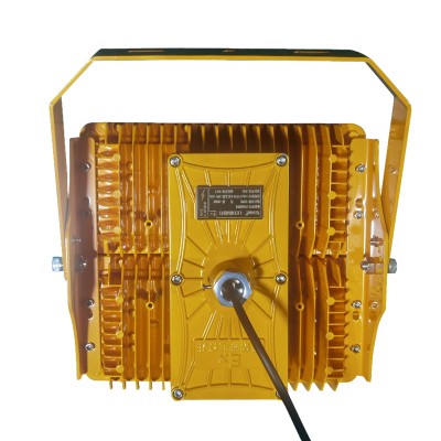LED Explosion Proof Light EXP900picture4