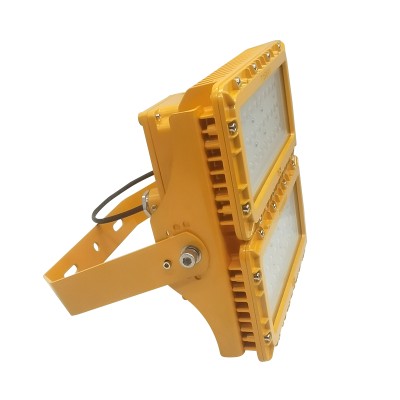 LED Explosion Proof Light EXP900picture5
