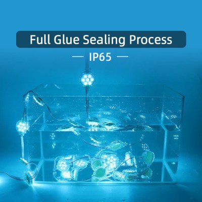 LED Point Light PXL240picture3