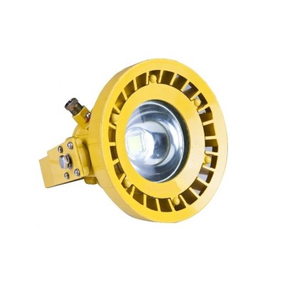 LED Explosion Proof Light EXP800picture4