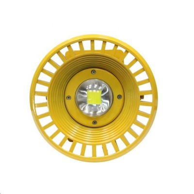 LED Explosion Proof Light EXP800picture5
