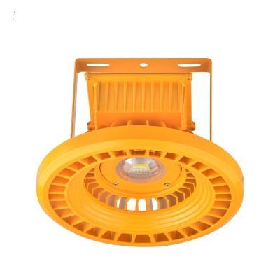 LED Explosion Proof Light EXP700picture2