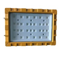 LED Explosion Proof Light EXP1100