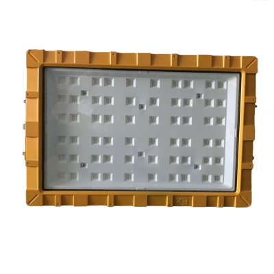 LED Explosion Proof Light EXP1100picture2