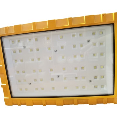 LED Explosion Proof Light EXP1100picture5