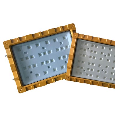 LED Explosion Proof Light EXP1100picture6