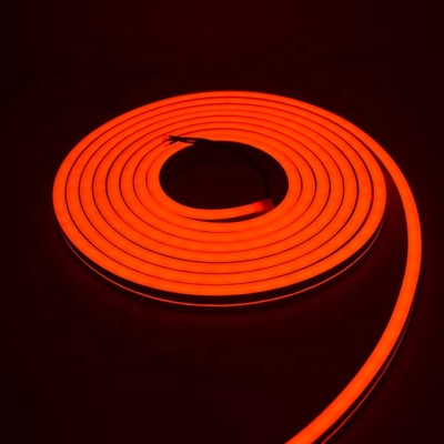 LED Neon Light NEL800picture3