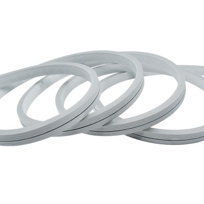 LED Neon Light NEL800picture4