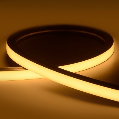 LED Neon Light NEL2000picture2