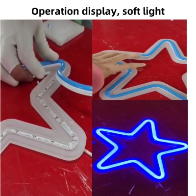 LED Neon Light NEL2100picture4
