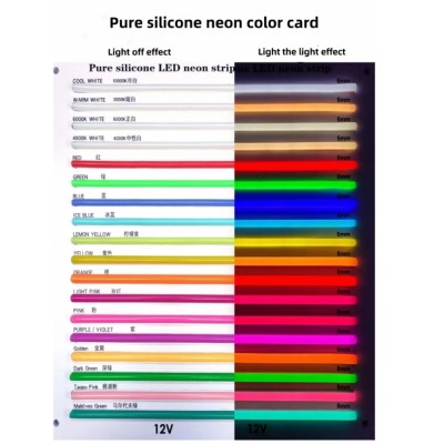 LED Neon Light NEL2100picture6