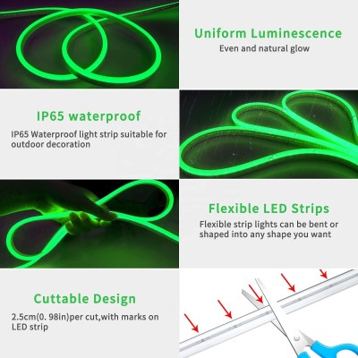 LED Neon Light NEL900picture4