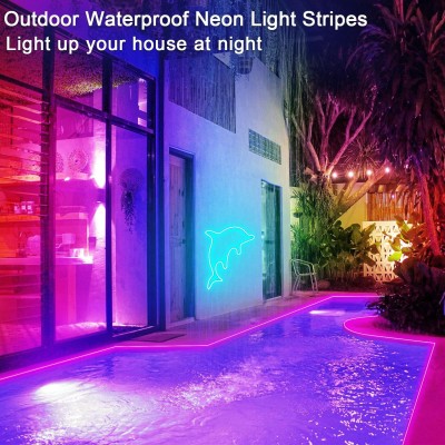 LED Neon Light NEL900picture5