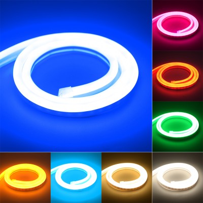 LED Neon Light NEL1000picture2