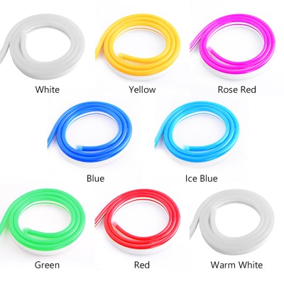 LED Neon Light NEL1000picture5