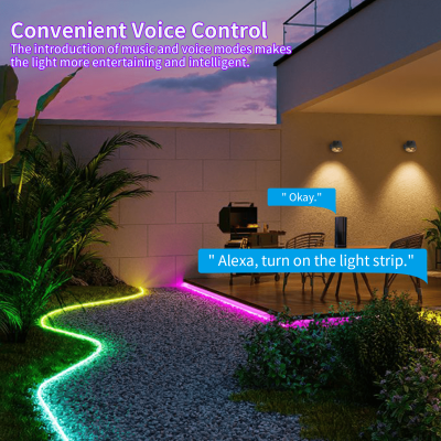 LED Neon Light NEL1100picture2