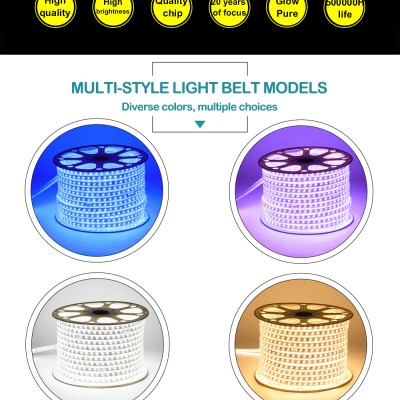 LED Strip Light STP100picture3