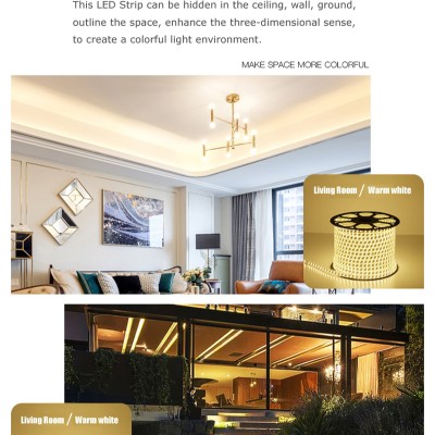 LED Strip Light STP100picture5
