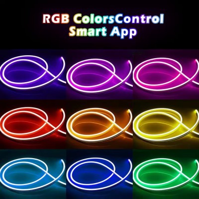 LED Neon Light NEL1500picture2